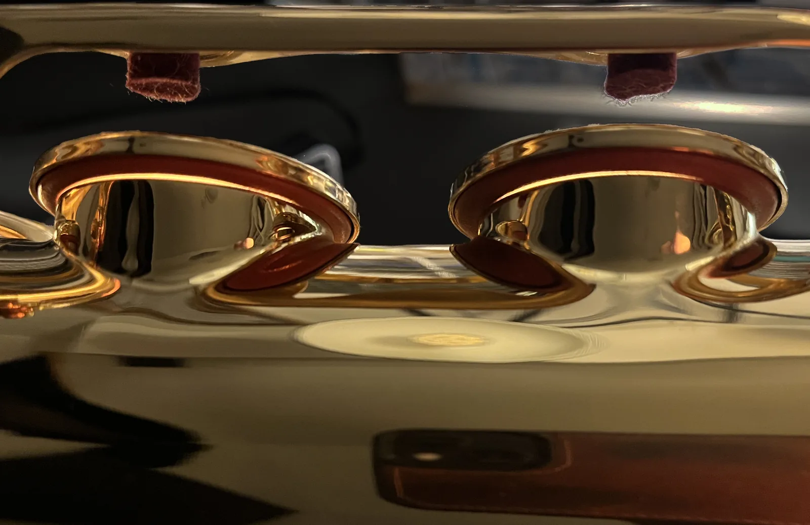 Close-up of two saxophone pads sealing against the tone holes under the key guard of a saxophone